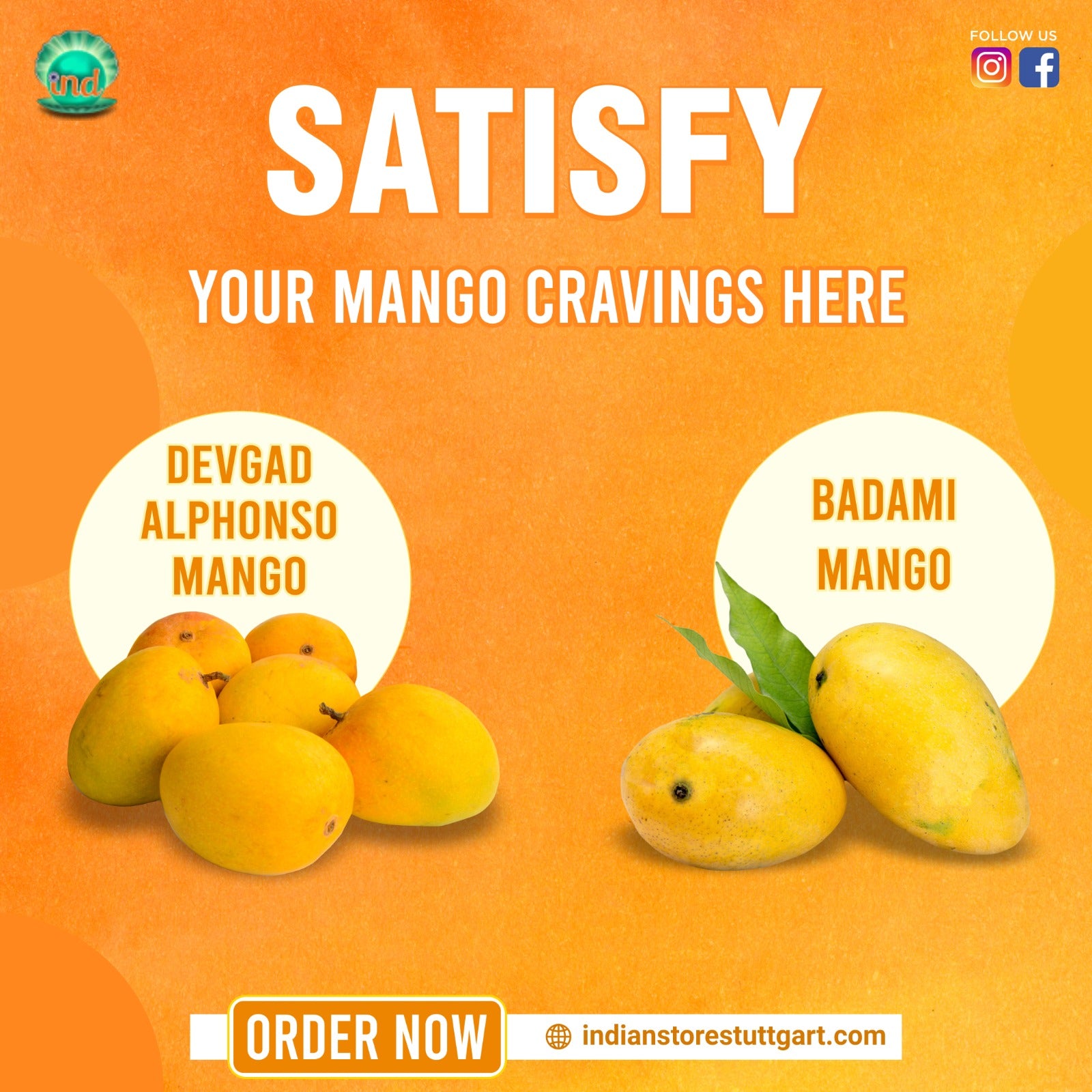 Sweetness of Devgad Alphonso Mango and Badami Mango - Directly Imported from India