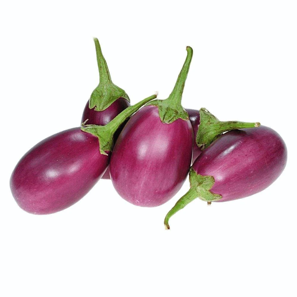Fresh Purple Brinjal
