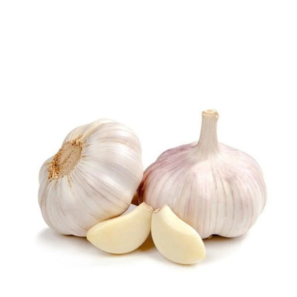 Fresh Garlic
